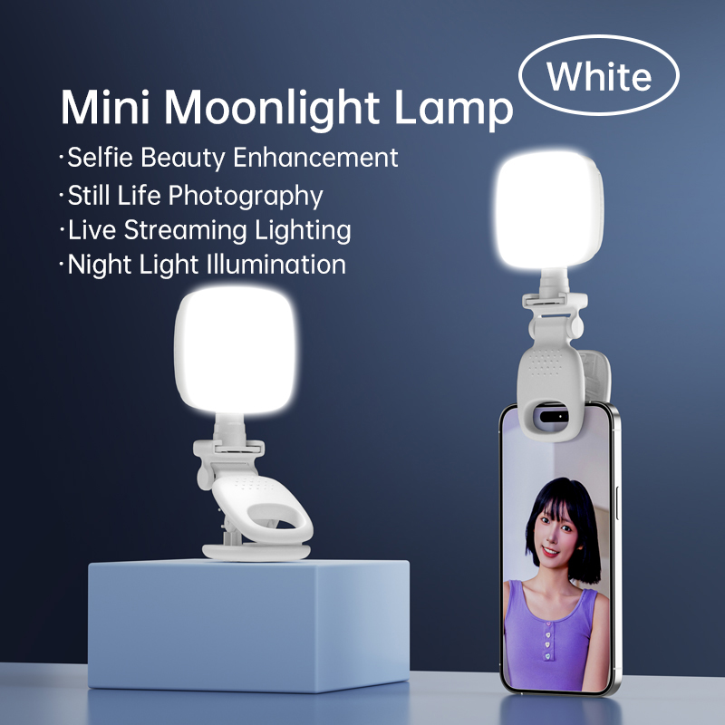 Portable LED Selfie Light Came - đánh giá và giá Photography Lighting Handheld
